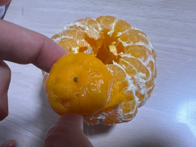 ちゃんと皮つきです（画像提供：りんご殿下さん）