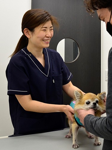獣医師からの信頼も厚い高橋さん（蒲田どうぶつ医療センター撮影協力）