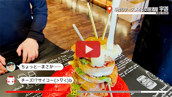 #710手作りチーズメインの居酒屋 宇迦