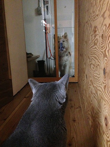 お世話をしてくれていた友人宅へも行きました