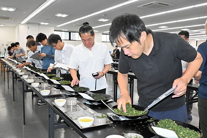 Tea sales soar in Japan amid booming demand for matcha | The Asahi Shimbun: Breaking News, Japan News and Analysis