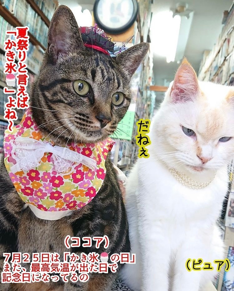 955264ec576eeda641d567e71905aa