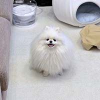 ニコニコ笑顔がたまらなく愛らしいゆきみちゃん（画像提供：ゆきみとだいふくさん）