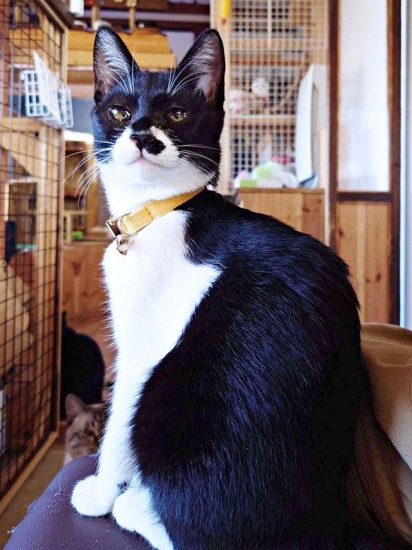 美しく成長したまぎちゃん（画像提供：hiro_8083さん）