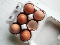 あの母の卵焼きの絶妙な塩加減はまだ私にはできない、多分ずっと