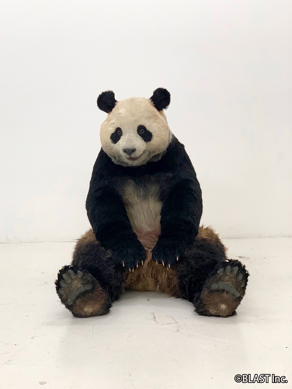 【入手困難】パンダ ぬいぐるみ リアル 本物 そっくり Amazon.co.jp: Chongker 重み付きパンダぬいぐるみ