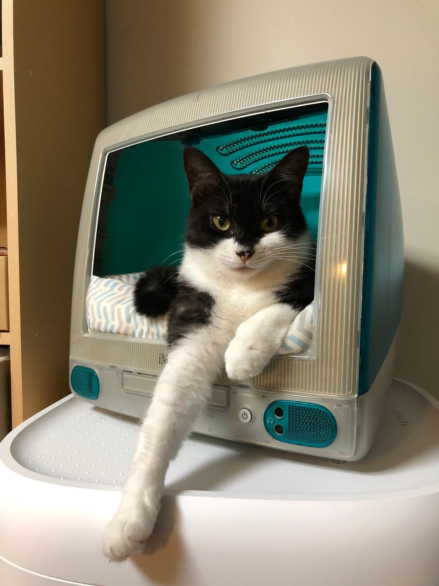 初代iMac リメイク キャットハウス 青（簀子仕様）-