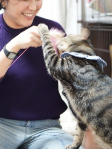 １さんとオモチャで遊ぶ「この人いっぱい遊んでくれるなあ」