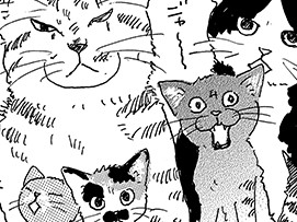 もしも猫を保護したら？　おしえて！しっぽ情報局 vol.27