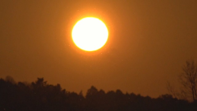 津山市大田　午前7時ごろ