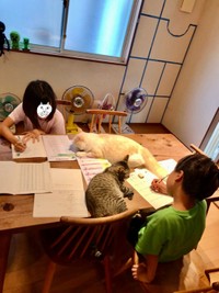 「がんばるのニャ」と宿題を見守る猫さん（提供：なみそさん）