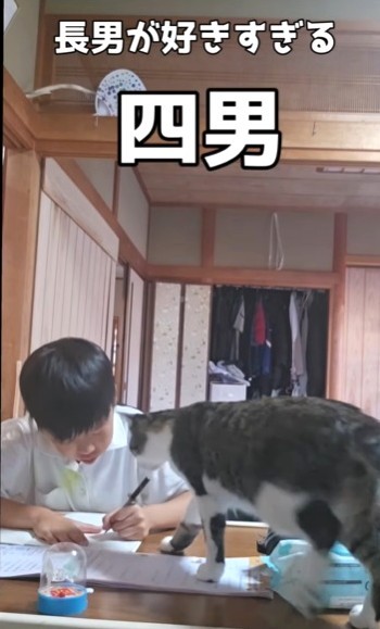 “四男”の猫さんが近付いてきた！（井上えりさん提供、Instagramよりキャプチャ撮影）