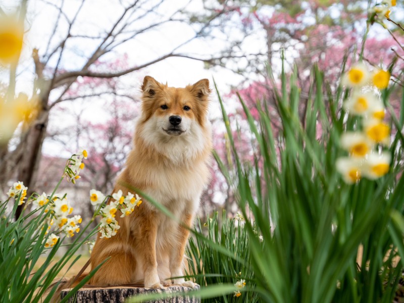 週末のお出かけはいつも一緒。ココといける場所であることが条件