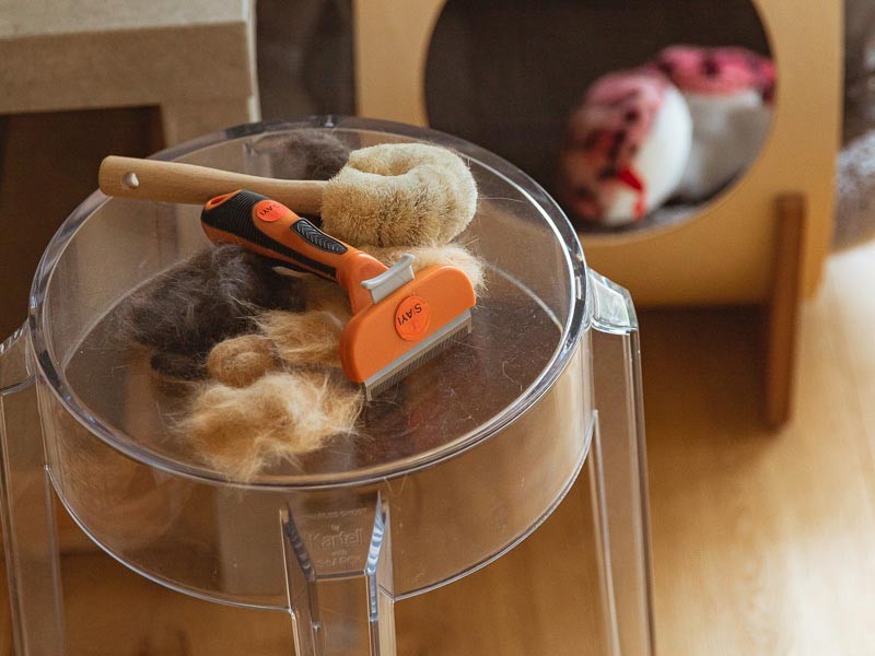 理絵子さんは収集家。出来上がりが気になります