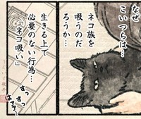 なぜネコ族を吸う？（うぐいす歌子さん提供）