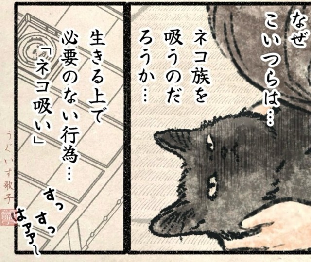 なぜネコ族を吸う？（うぐいす歌子さん提供）
