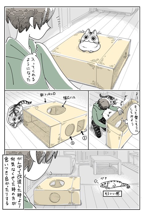 【漫画】「大きなダンボール」（提供：キュルZさん）