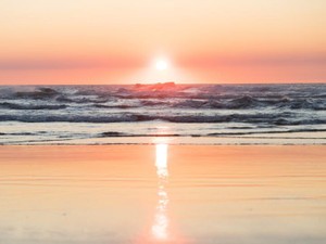 抱負という名の欲を新年早々捨てた私は、今年もしぶとく生きていく