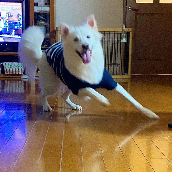 跳び起きたクルト