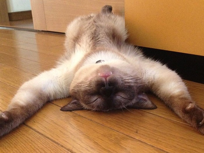 すみません、緩みすぎています