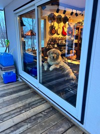 ディッパーくんが暮らすのは、北海道阿寒郡のペンション