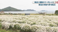 フラワーパーク浦島　三豊市詫間町積