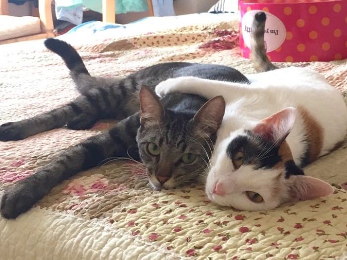 まるで兄妹のよう