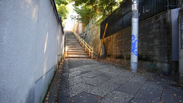 口縄坂の石段が蛇の腹に見える？