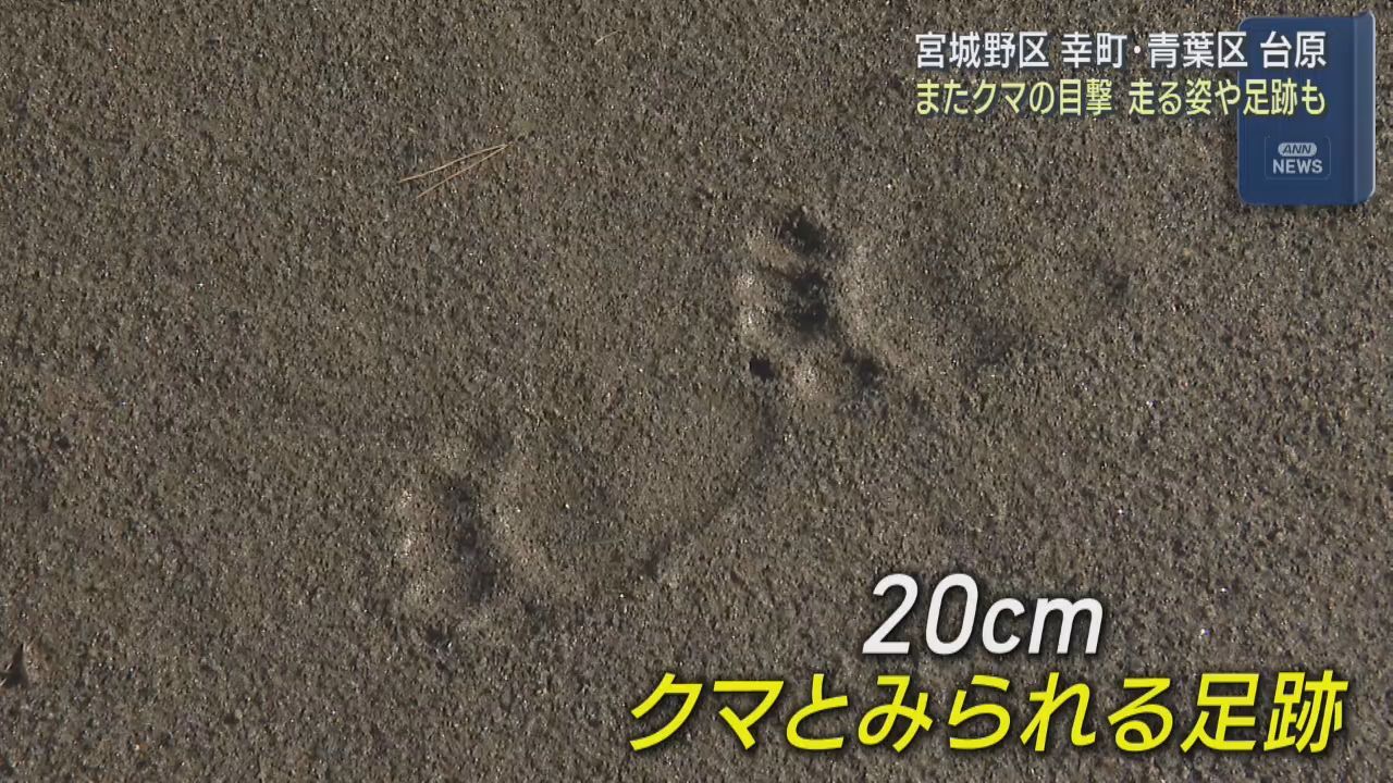 ドラレコに道路横切る映像　足跡も　仙台の住宅街で連日のクマ目撃