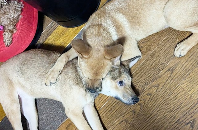 いつかわだかまりを忘れた頃、再会して、あの日のように一緒に過ごす時間ができると良いね！