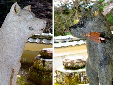 愛犬連れに人気の旅スポット　豪族を救った忠犬伝説が残る寺