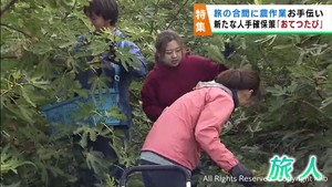 旅人が旅先で仕事のお手伝い「おてつたび」　新たな人材の確保策