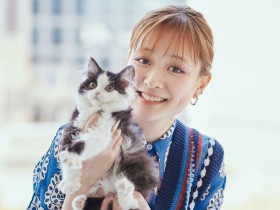 映画『犬部！』の大原櫻子さん　愛情ダダもれ！保護猫ＶＲを初体験