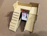 飼育ケースの中に入れられた運動場と遮光を兼用したダンボール細工