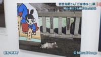 ©Mitsuaki Iwago