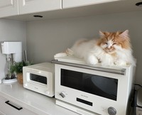 レンジの上が大好き＝ぽてこゆこめ+うなさん（@potechi_nikki）提供