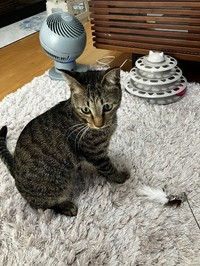 無邪気な姿から、たくさんの笑顔を貰っている