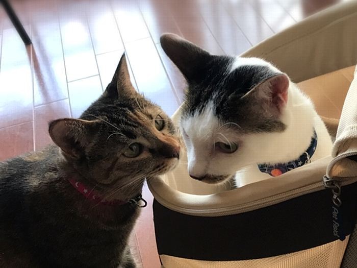 私も入りたいな～