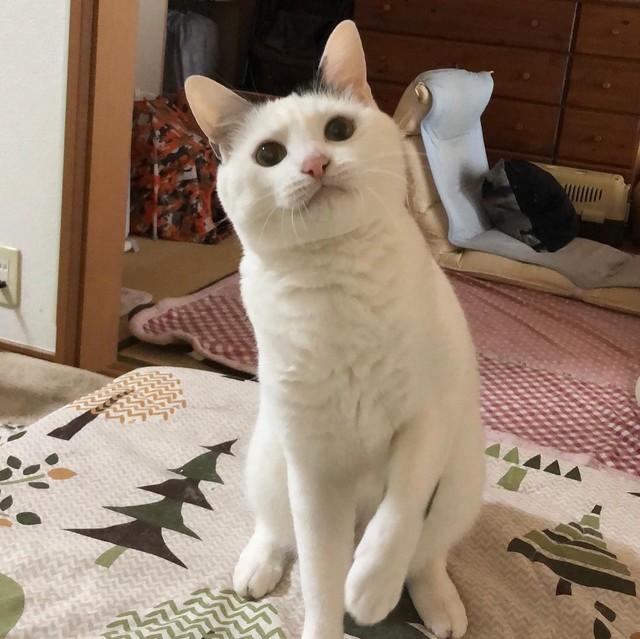 ママ～、遊んでよ！