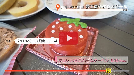 #10山元いちご農園 夢工房やまもとバーム