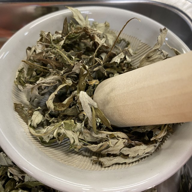 よく乾燥させたヨモギの葉を粉砕します。