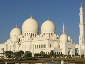 アラブの猫は愛想がいい！　カメラににじり寄る