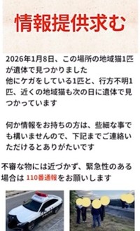 情報提供を求めている（寧波さんて提供、Instagramよりキャプチャ撮影）