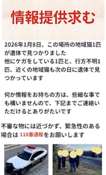 情報提供を求めている（寧波さんて提供、Instagramよりキャプチャ撮影）
