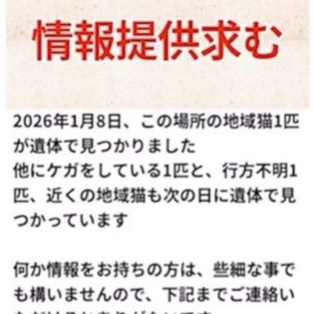 情報提供を求めている（寧波さんて提供、Instagramよりキャプチャ撮影）