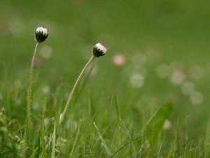 「置かれた場所で咲いちゃだめ」。似た経験をした彼女に感じた希望