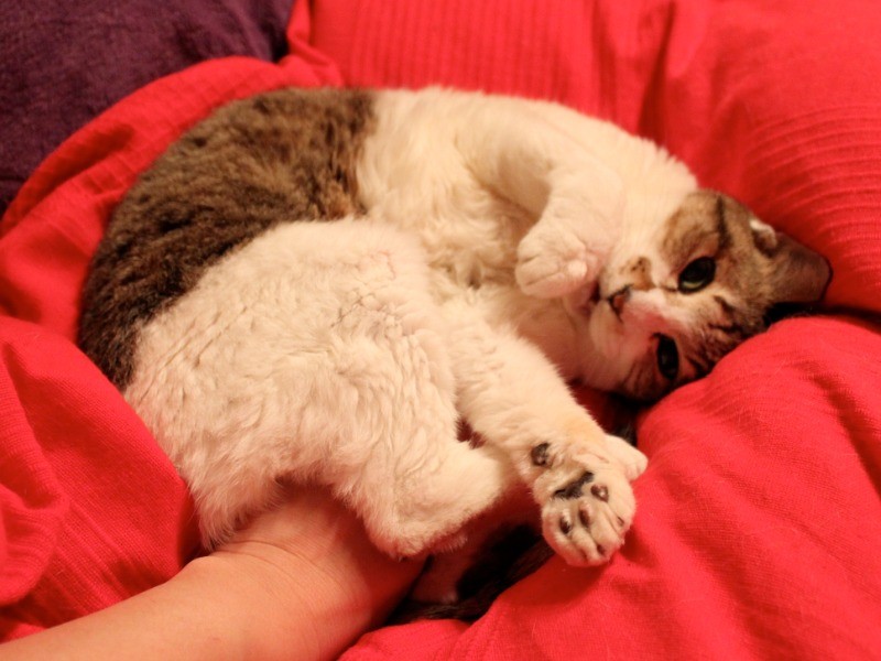 ズン姐さんです（おぷうのきょうだい提供）