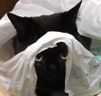 かくれんぼしてたけど、見つかった