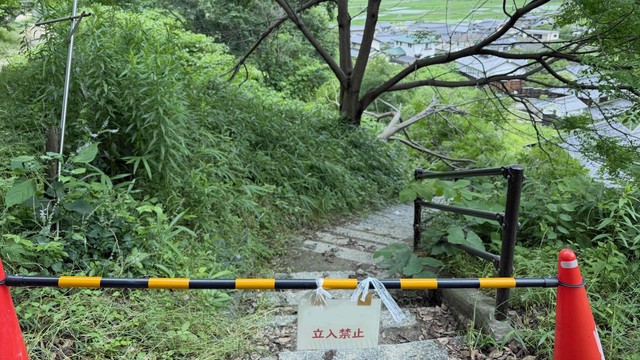 岡山市の造山古墳見学路で倒木　市が別ルートでの登頂を呼び掛け