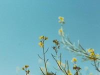 重い荷物が消え、羽が生えた。彼氏から卒業したら、人生最高です